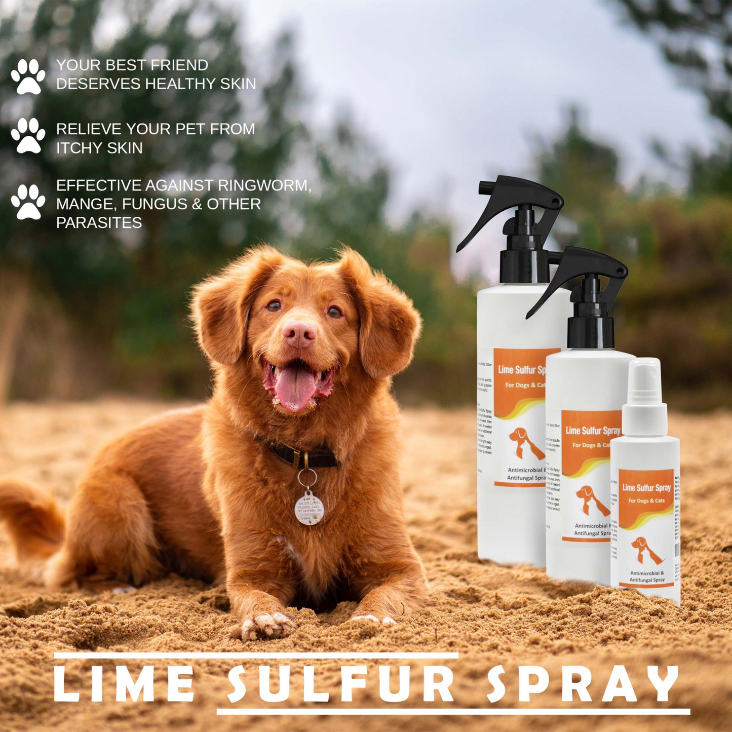 Lime Sulfur Pet Shampoo and Spray (8 oz each)