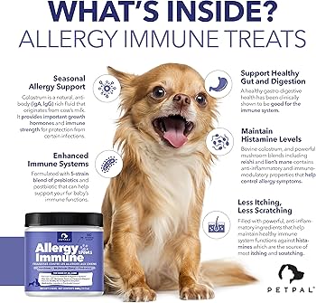 Allergy Immune Treats