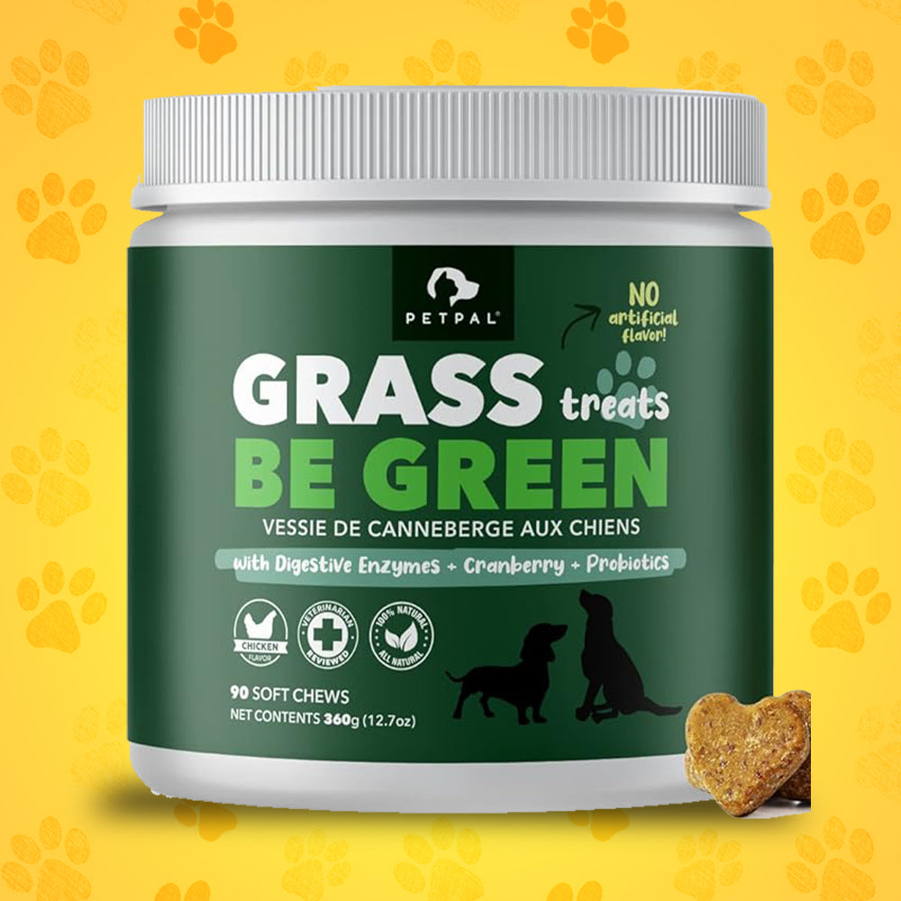 Green Grass Supplement