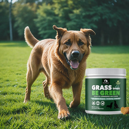 Green Grass Supplement