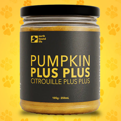 Pumpkin Plus Plus